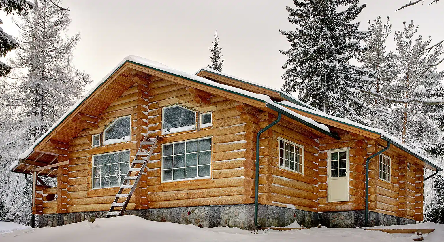 Weatherproofing Techniques for Modern Cabins imgae