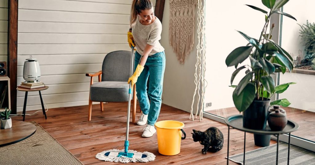 Spring Cleaning Guide for Cabin Interiors imgae