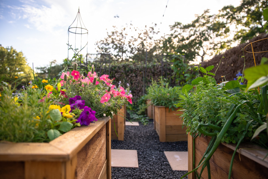 Cabin Garden Ideas: Wildflowers, Herbs, and Vegetables imgae