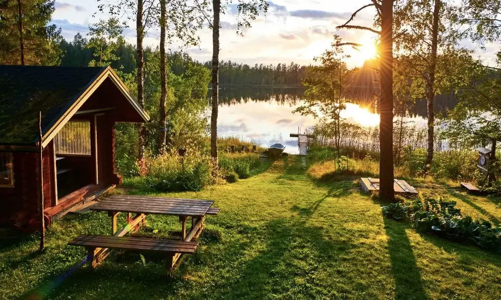 Summer Cabin Tips: Keep Bugs, Sun, and Moisture at Bay imgae