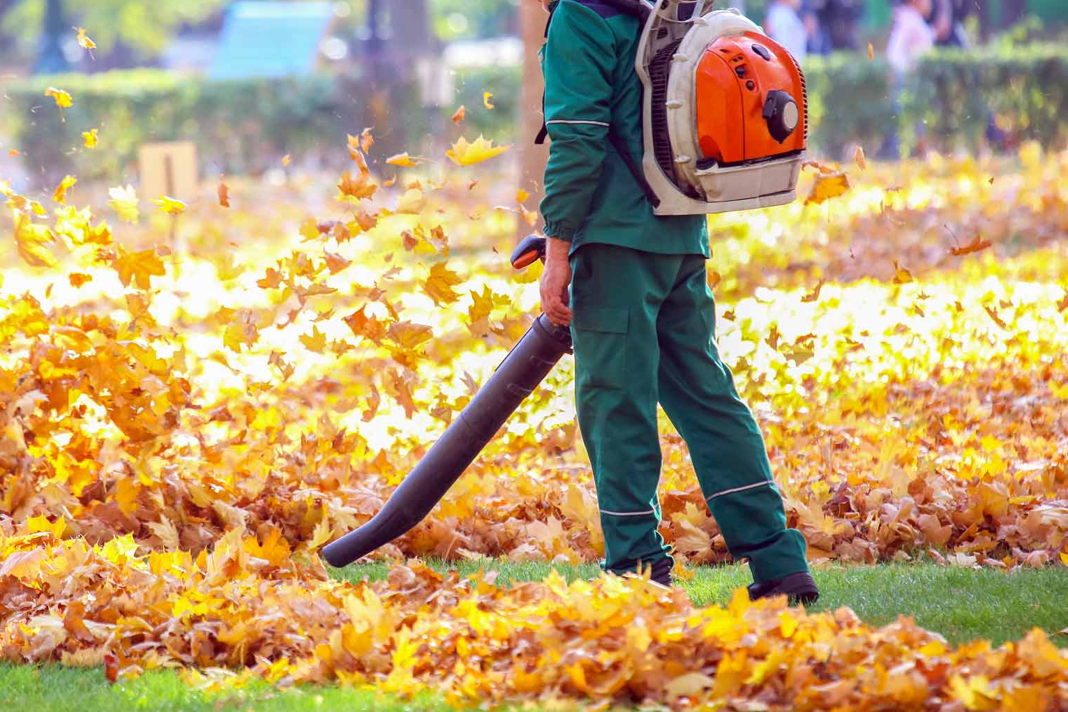 Autumn Home Maintenance: Leaf Cleanup, Heating Check, and Drainage System Care imgae